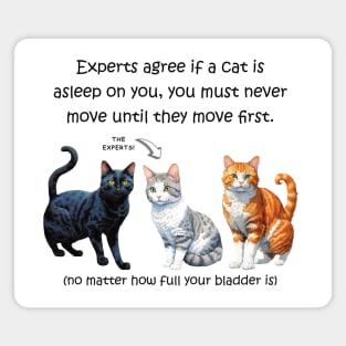 Experts agree if a cat is asleep on you, you must never move until they move first - funny watercolour cat design Magnet